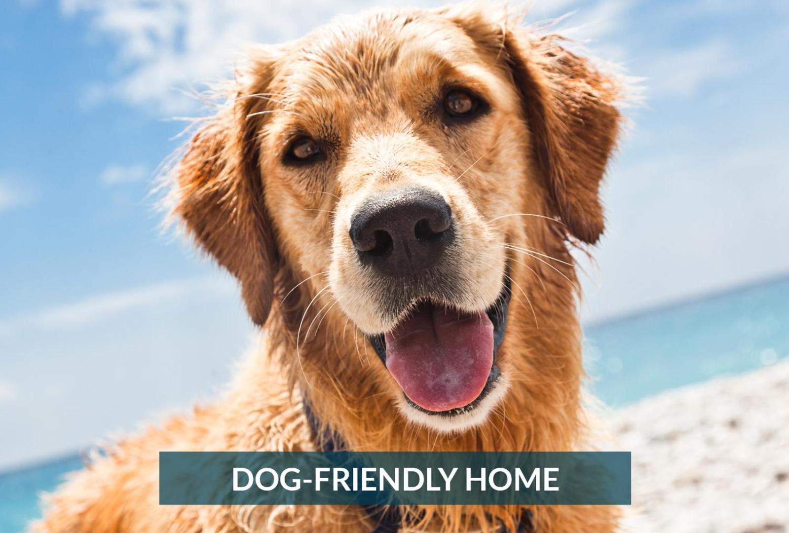 4011 The Dogs House 2 Min Walk To Beach Kitty Hawk Exteriér fotografie